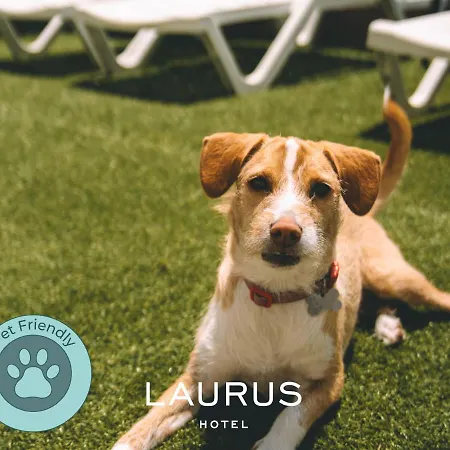 Laurus Hotel-3