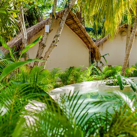 Hotel Serena Glamping Tulum (Adults Only)-3