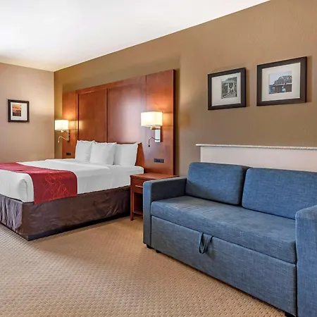 Comfort Suites Florence Shoals Area-3