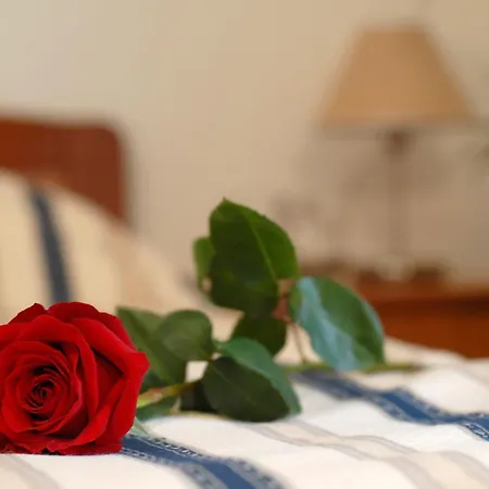 Hotel Rosina-2