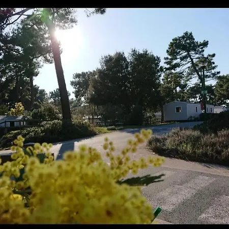 Room In Mobile Home - The Mobil Home De 4 4M-3