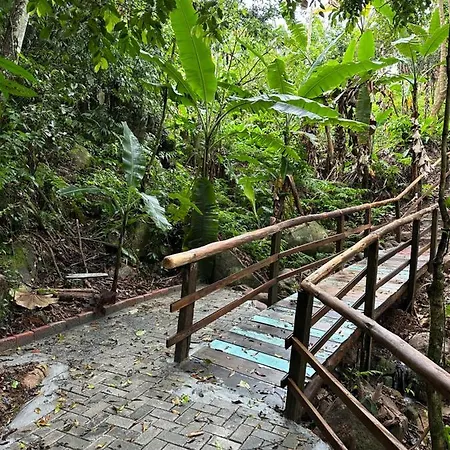 Vila Dos Passaros,Quarto 05-3