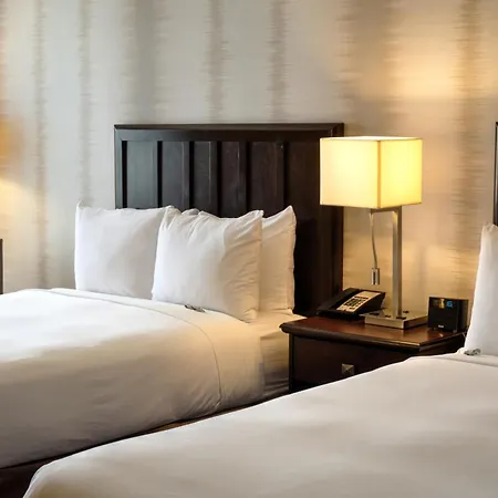 Radisson Hotel Fort Worth North-Fossil Creek-2