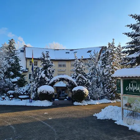 Hotel Am Wald B&B-3