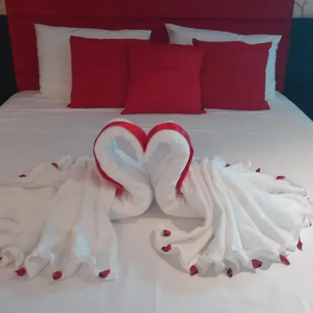 Hotel Guest-3