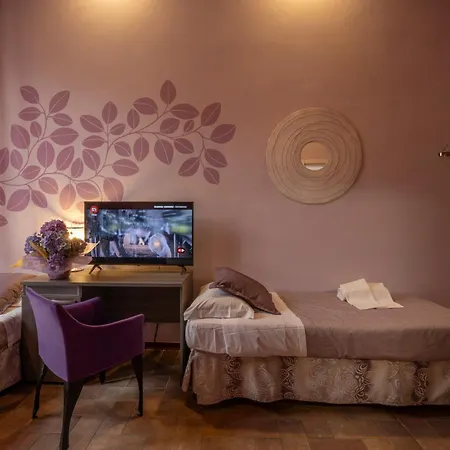Hotel Palazzo Renieri - 3stelle S-3