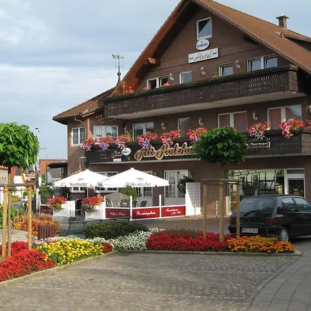 Hotel Alt-Holzhausen-3