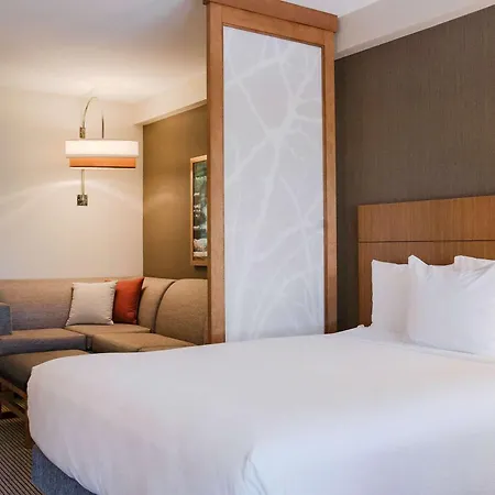Hyatt Place Buffalo / Amherst, Ny-2