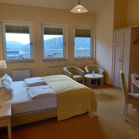 Parkhotel Bad Schandau - direkt an der Elbe-3