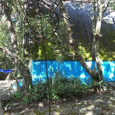 Chales City Camael-3