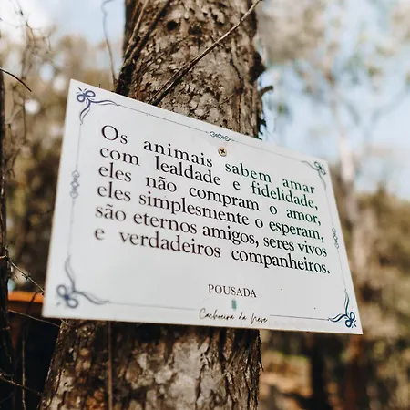 Floresta Secreta- Pousada Cachoeira da Neve-3