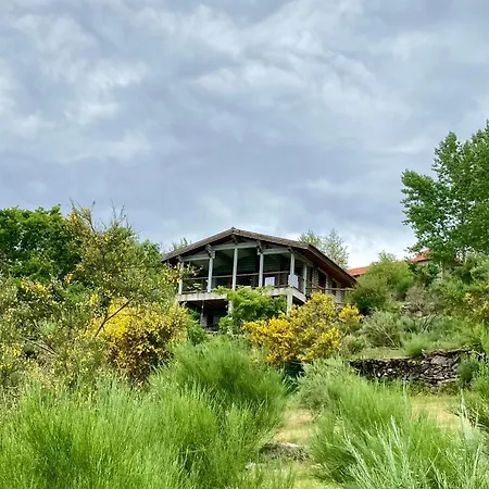 Mountain Log Cabin O Lobo-3