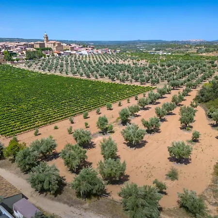 Vilar Dynamic Els Ports Resort-2