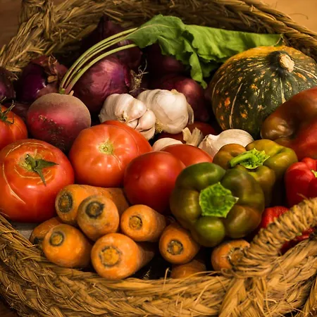 Altanure Almatere - Food Forest Boutique Stay-2