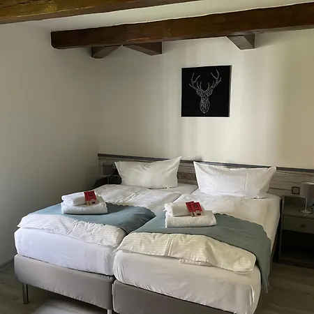 Hotel Der Distelhof - ihr Land- und Tagungshotel zwischen Rennsteig und Rhön-3