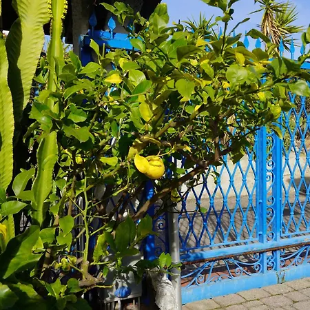 Villa Rita Sea Front View Sanremo - Parcheggio Gratuito In Struttura-3
