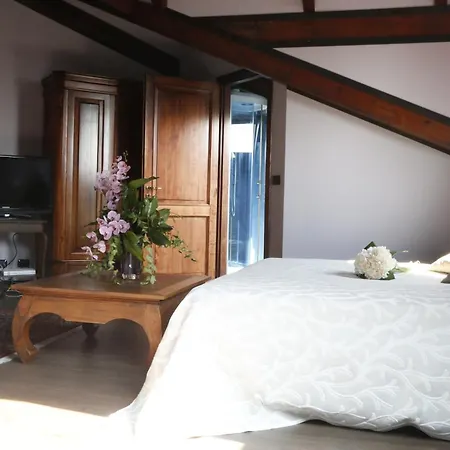 Hotel Damian Park Hotel Delle Magnolie-2