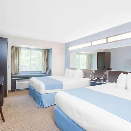 Microtel Inn & Suites Bath-2
