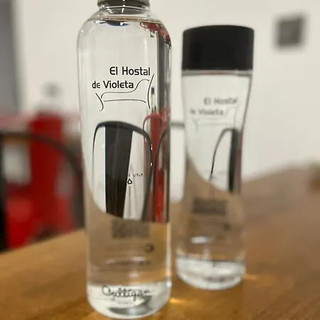 El Hostal de Violeta-2