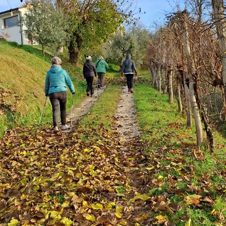 Il giuggiolo-3