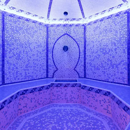 Hotel Le Palace des Neiges-2