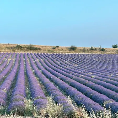 Olydea Montbrun-les-Bains-3