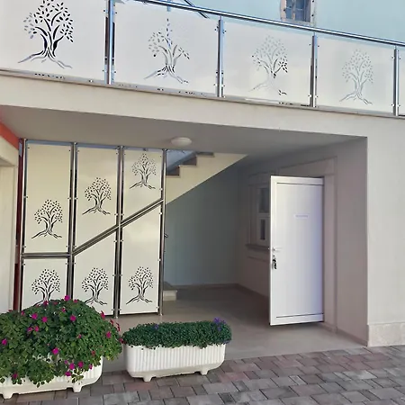 B&B-Ld-3