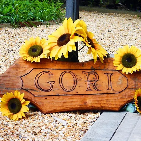 Casa Gori-3