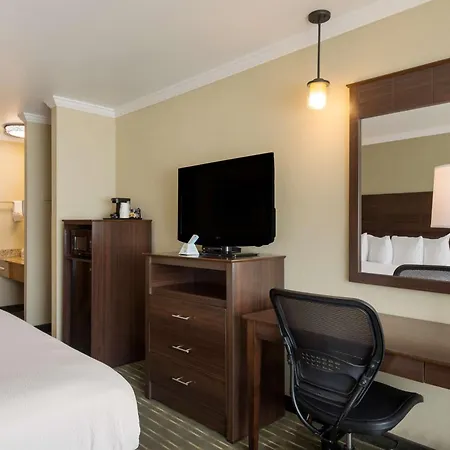Best Western Holiday Hotel-2