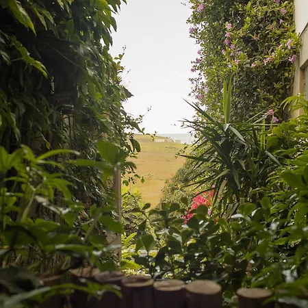 Orquidea Cafe-3