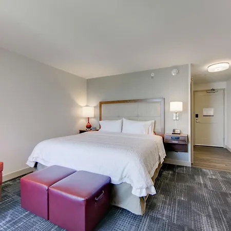 Hampton Inn & Suites North Houston Spring-3