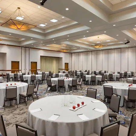 Embassy Suites Dallas - Dfw Airport North-3