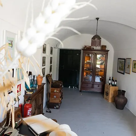 Vintage Guest House - Casa Do Escritor-3