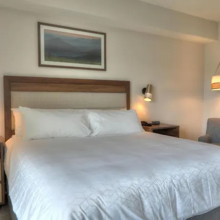 Holiday Inn & Suites Pigeon Forge Convention Center By Ihg-2