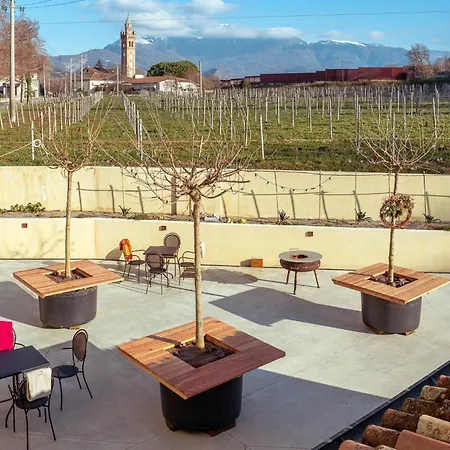 La Vigna di Sarah-2