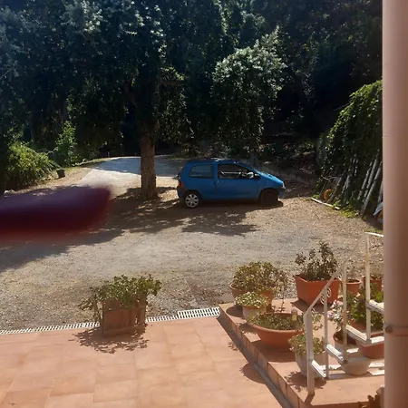 Alba Tra I Pini B&B-2
