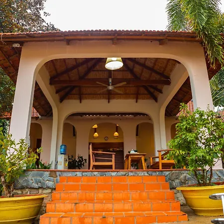 Daisy Resort-3