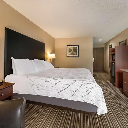 Best Western Park Oasis Inn-2