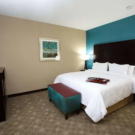 Hampton Inn And Suites Missouri City-3