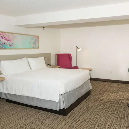 Hilton Garden Inn Saint Augustine Beach-3