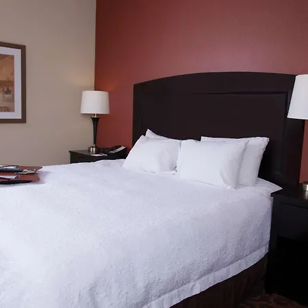 Hampton Inn & Suites Dickinson Nd-3