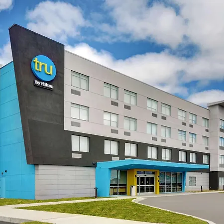 Tru By Hilton Gaylord, Mi-3