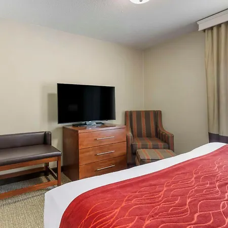 Comfort Inn & Suites Rapid City South - Mt Rushmore Gateway-2