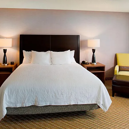 Hilton Garden Inn Hartford North-Bradley International Airport-3