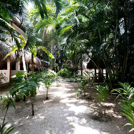 Hotel Casa Barbara Holbox-3