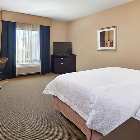 Hampton Inn & Suites Decatur-2