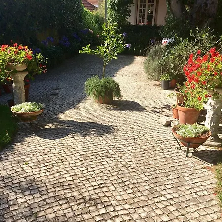 Villa Branca Jacinta-2