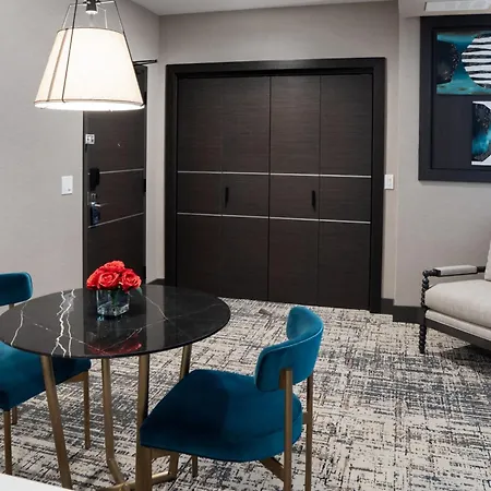 Springhill Suites By Marriott Chicago Chinatown-3