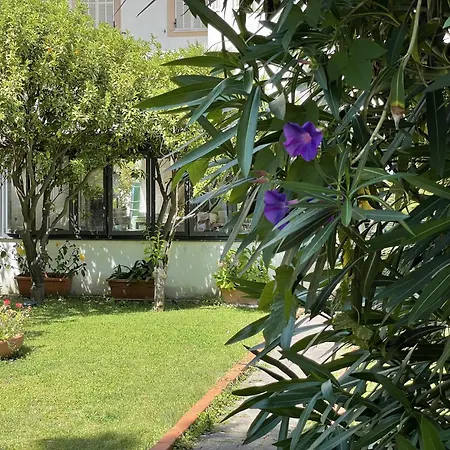 Hotel Rosalia-2