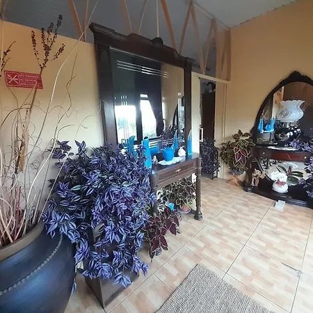 Hotel Gite Cantinho Davo-3